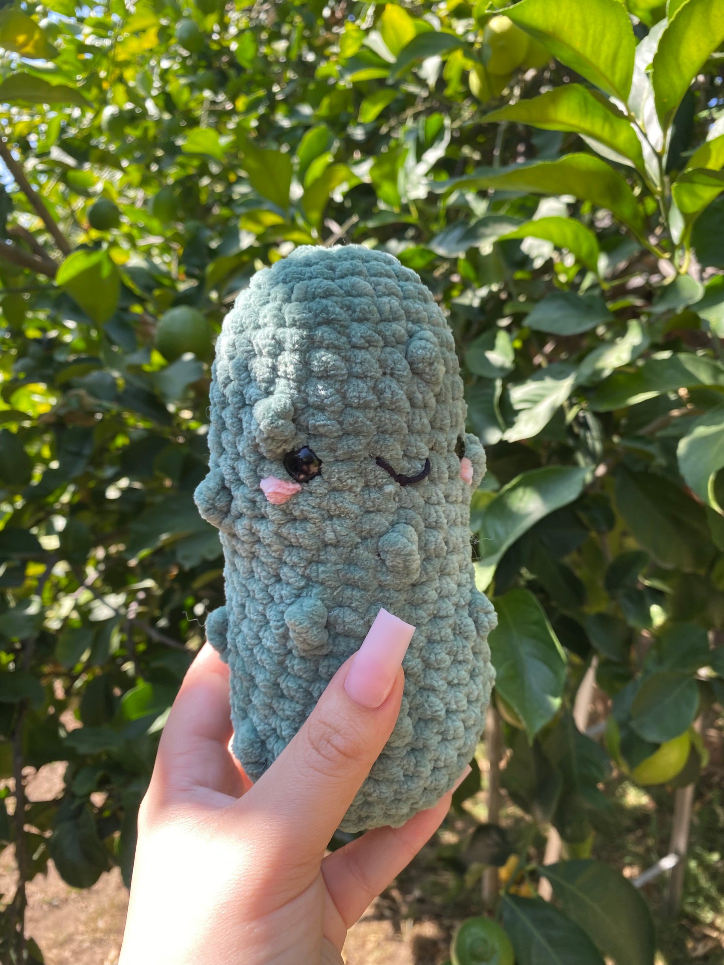 Crochet Pickle