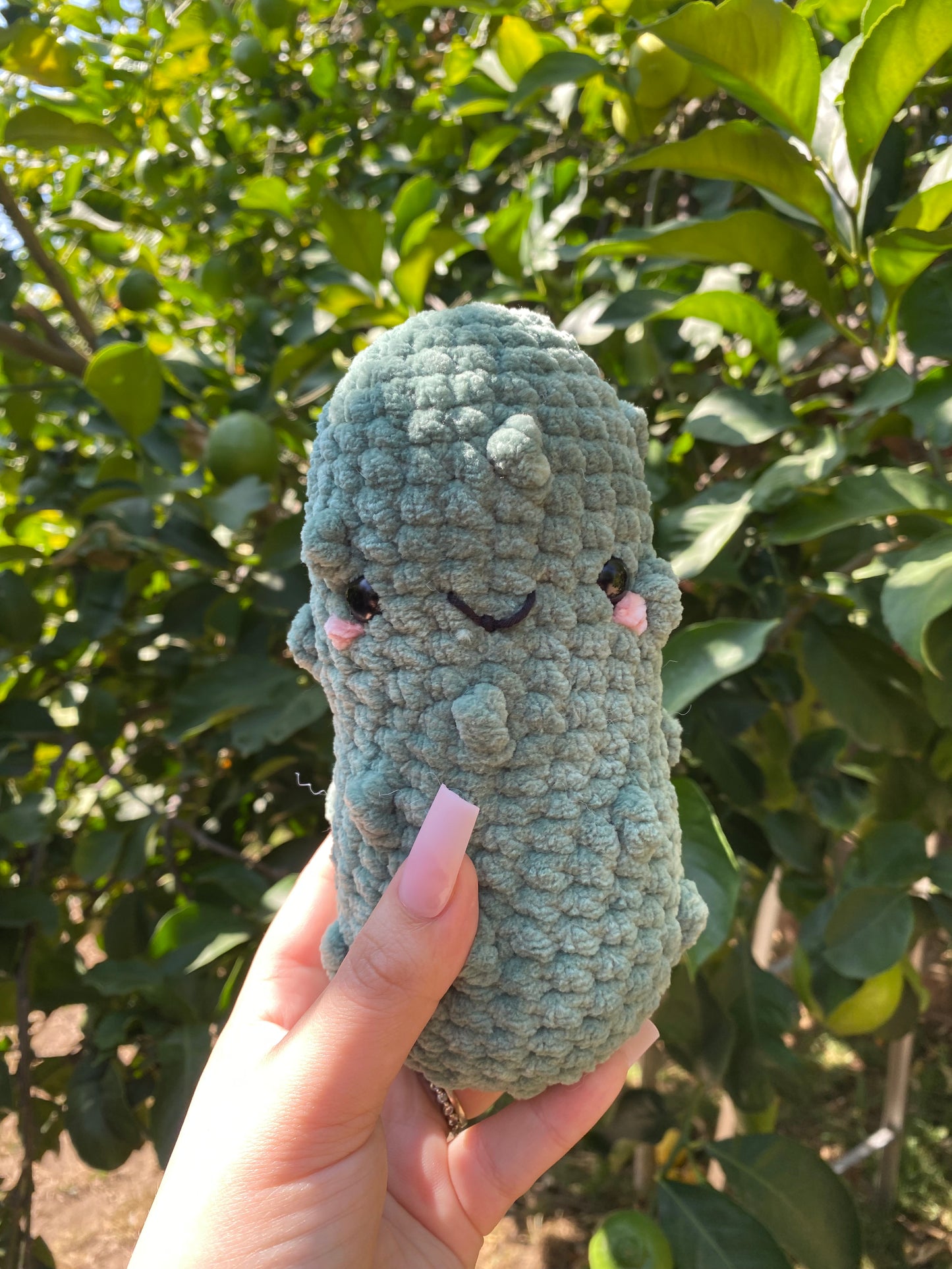 Crochet Pickle